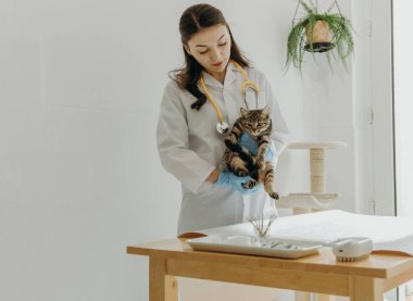 Beyaz önlüklü, mavi eldivenli ve boynunda sarı steteskop olan beyaz bir kız veteriner elinde kameraya bakan bir yavru kedi tutuyor.