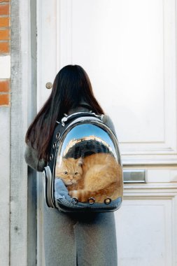Arkadan beyaz esmer bir kızın portresi, yarı uzunlukta, şeffaf bir sırt çantalı, sakin bir kızıl kedisi olan gri bir kız, içeride oturuyor ve anahtarı ile ön kapıyı açıyor.