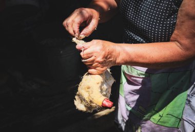 Tanınmayan orta yaşlı beyaz bir kadın, ördeğin kanatlarından tüyleri koparıp, askıya alıp, bir yaz akşamında, yakın çekimde pişirmeye hazırlıyor..