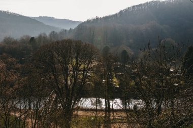 Orman manzarası çok güzel. Bahar günü gün batımında nehir manzarası, yakın çekim. Doğa geçmişi, seyahat ve turizm zamanı kavramı.