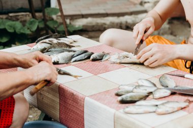 Tanımlanamayan genç bir beyaz adam ve yaşlı bir kadın el ile teraziden bir bıçakla nehir balığını temizliyor, bir yaz günü avludaki küçük banklarda oturuyorlar, yakından bakıyorlar. Balık pişirme zamanı, köy.