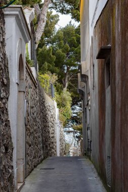 İtalya 'nın başkenti Capri' de yaz güneşli bir günde dağ boyunca uzanan yerleşim binaları ve ağaçların bulunduğu dar düz bir caddenin güzel manzarası. Konsept güzel arka planlar ve duvar kağıtları..