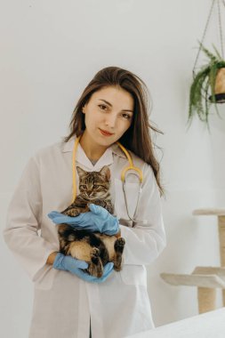 Beyaz önlüklü, mavi eldivenli ve boynunda sarı steteskoplu genç bir beyaz kız veteriner elinde üç renkli bir kedi yavrusu tutuyor, gün boyunca evinde duruyor ve kameraya gülümsüyor, yakından bakıyor.