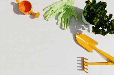 Bahçe sarısı kürek, tırmık, turuncu sulama kutusu, yeşil eldivenler, toprak ve sardunya çiçeği sağda beyaz boyanmış beton zemin üzerinde uzanan bir saksıda uzanıyor, solda fotokopi alanı olan düz bir orta plan. Bahçe aletleri seti, bahçe zamanı.