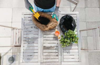 Bahçe eldivenleri içindeki tanınmayan genç beyaz adam arka bahçeye bakan çiçeğe sarı kürekle birlikte toprak dökerek orta ölçekli bir görüntü oluşturdu. Çiçek saksısı dikmek.