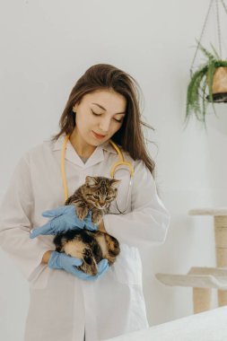 Beyaz önlüklü, mavi eldivenli ve boynunda sarı steteskop olan genç bir beyaz kız veteriner elinde sevgiyle baktığı üç renkli bir kedi yavrusu tutuyor. Gün boyunca ev ofisinde dikiliyor, yakından bakıyor. Konsept