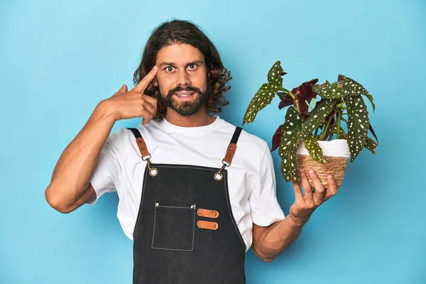 長髪の庭師は フォーフィンガーとの失望のジェスチャーを示す植物を保持するひげを持つ — ストック写真