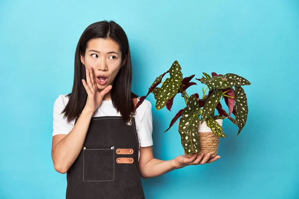 Fiatal Ázsiai Kertész Tartja Üzem Stúdió Háttér Azt Mondja Egy — Stock Fotó