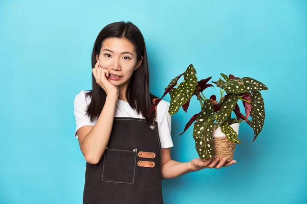 Junger Asiatischer Gärtner Mit Pflanze Studiokulisse Beißenden Fingernägeln Nervös Und — Stockfoto