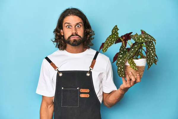Long Haired Gardener Beard Holding Plant Shrugs Shoulders Open Eyes — Stock Photo, Image