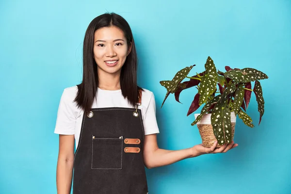 Young Asian Gardener Holding Plant Studio Shot — Stock Photo, Image