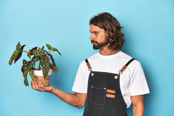 青いスタジオに植物を抱えているひげを持つ長髪の庭師 — ストック写真