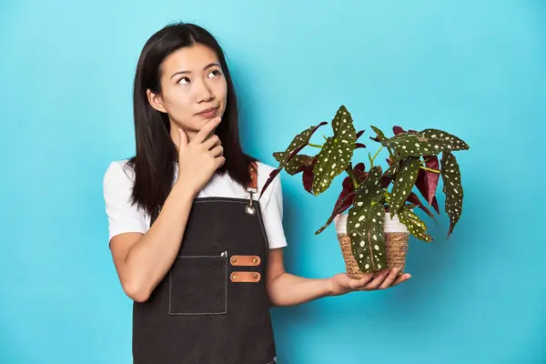 年轻的亚洲园艺师持有植物 工作室背景 带着怀疑和怀疑的表情侧视着四周 — 图库照片