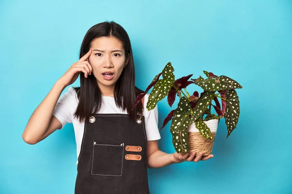 Young Asian Gardener Holding Plant Studio Backdrop Showing Disappointment Gesture — Stock Photo, Image