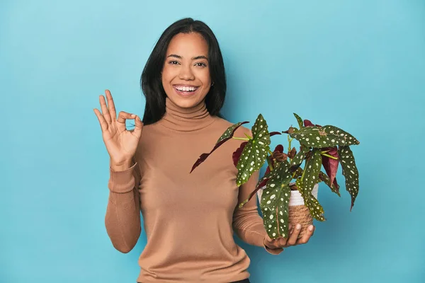 Filipina Holding Plant Blue Studio Cheerful Confident Showing Gesture — Stock Photo, Image