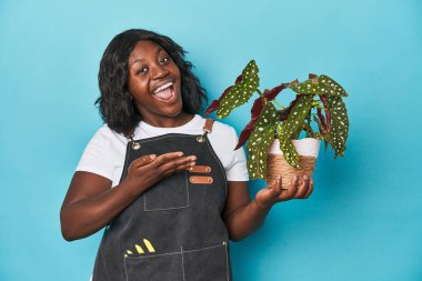 Kibar kıvrımlı bahçıvan mavi arka planda sevgiyle bir bitki tutuyor.