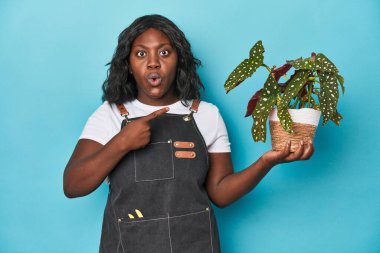 Eğri bahçıvan stüdyoda fabrikayı işletiyor.