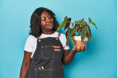 Stüdyoda fabrika işleten kıvrımlı bahçıvan hedeflerine ve amaçlarına ulaşma hayali kuruyor.