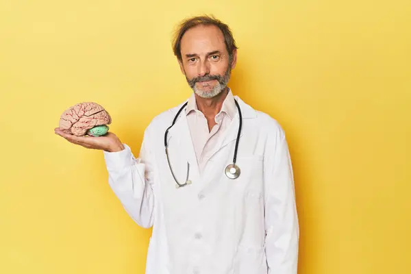 Doktor Stüdyoda Bir Beyin Modeli Tutuyor — Stok fotoğraf