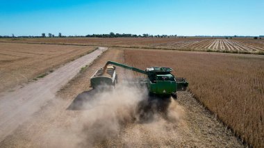 Arjantin 'de geniş bir olgun buğday tarlasında hasat mevsiminde çalışan hasatçıların hava görüntüsü.
