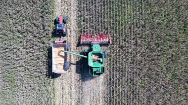 Arjantin 'de geniş bir olgun tahıl tarlasında hasat mevsiminde çalışan hasatçıların hava görüntüsü.