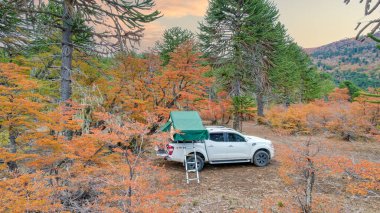 Patagonya 'da 4x4 Arjantin.