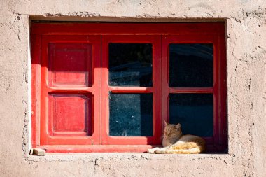 Bir kedi eski bir evin kırmızı çerçevesinde bir pencerenin üzerinde uyuyor..