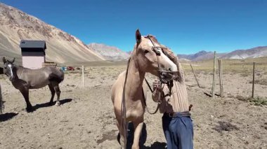 Salta, Arjantin 'deki 