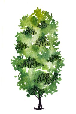 Yapraklı yeşil ağaç. El çizimi suluboya resim, beyaz arka planda izole edilmiş. Kağıtta renkli sıçramalar. 