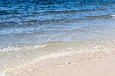 Sahildeki deniz dalgaları