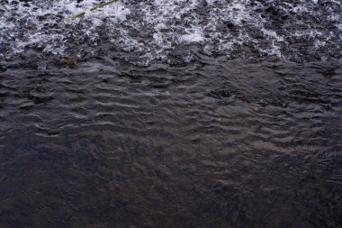 Su yüzeyi. Yaz tatilinde güneş ışığı yansıması veya tatil rahatlama konsepti.