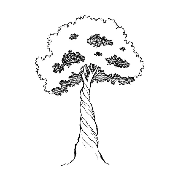 Tree Country House Garden Black Line Hand Drawn Painting Paper — Stockfoto