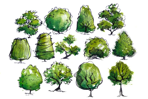 Zelený Strom Listy Ručně Kreslené Akvarel Malba Izolovat Bílém Pozadí — Stock fotografie