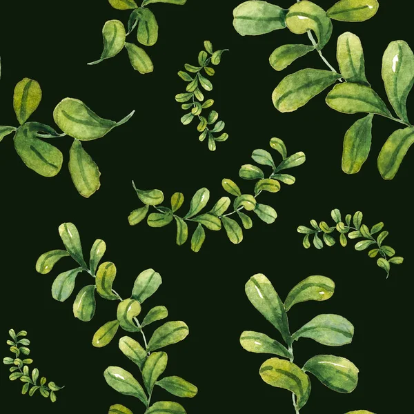 水彩画无缝图案 手绘绿叶 植物学说明 — 图库照片