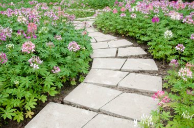 Bahçede bir çiçek ve patika. 