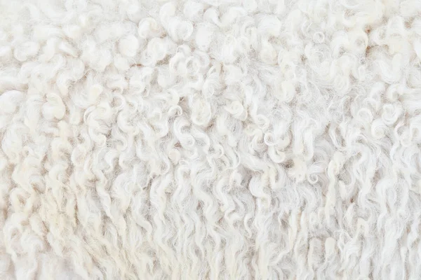 Fibra Termica Pelliccia Lana Texture Sfondo Pecore Con Tono Colore — Foto Stock