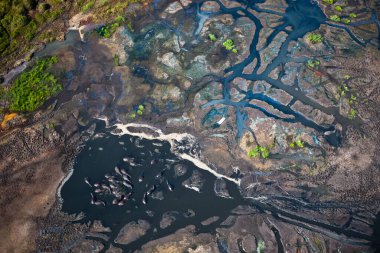 Su birikintisinde debelenen iSimangaliso Wetland Parkı 'nın (önceden Büyük St Lucia Wetland Parkı) havadan görüntüsü. KwaZulu Natal. Güney Afrika