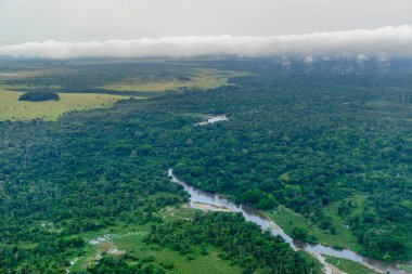 Hava görüntüsü. Odzala-Kokoua Ulusal Parkı. Cuvette-Ouest Bölgesi. Kongo Cumhuriyeti