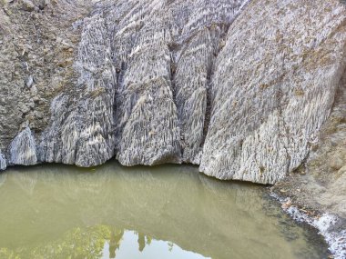 Tuz tepesi ormandaki bir tuz tepesidir.