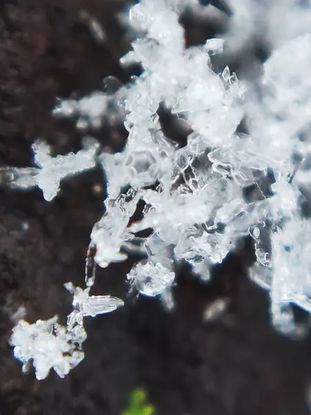 close up of a white snowflake