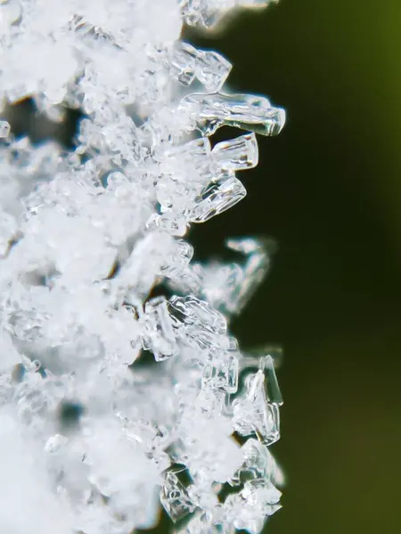close up of ice crystals on a green leaf