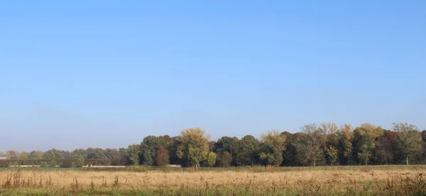 Krajobraz Naturalny Jesienny Dzień — Zdjęcie stockowe