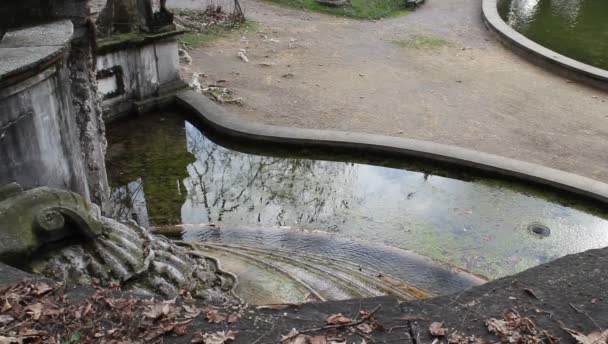 Fontana Acqua Nel Parco Urbano Autunno — Video Stock