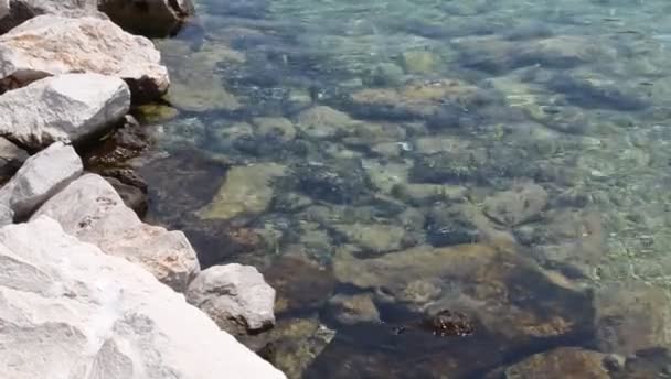 夏の岩の上の海の波 — ストック動画