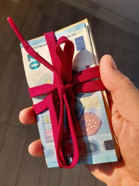 20 Euro 'luk banknotlar bir adamın elinde - zenginlik