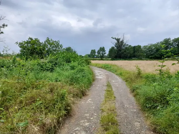 stock image Land in the countryside on a cloudy summer day