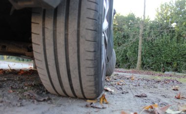 Sonbaharda ormanda arabayla seyahat etmek.