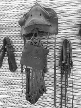 At Binme için donatım