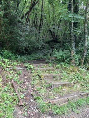 Dağ gölü el değmemiş doğayla çevrili.