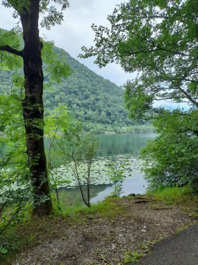 Dağ gölü el değmemiş doğayla çevrili.